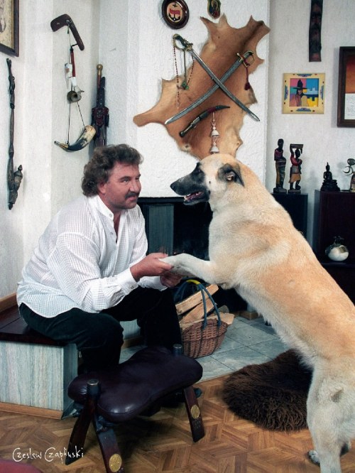 Krzysztof Krawczyk z ukochanym psem,1999, Czesław Czapliński