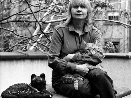 Elżbieta Czyżewska, 1981, Czesław Czapliński