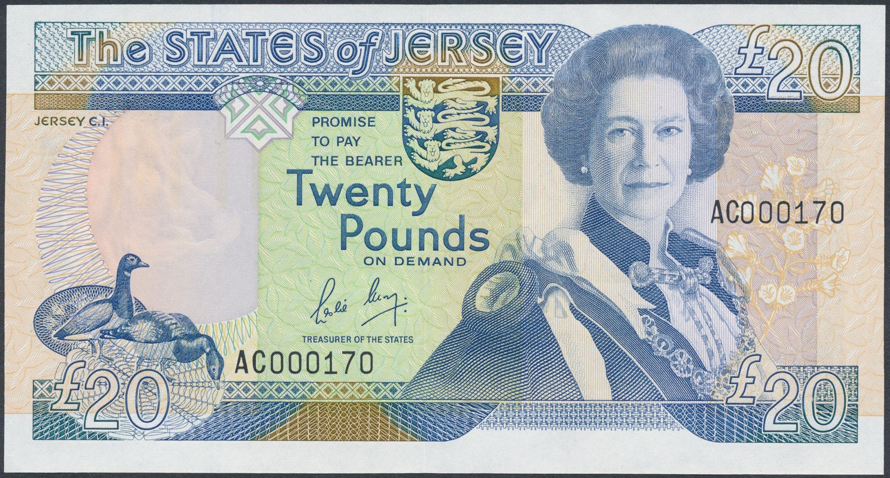 Пятьдесят фунтов. 20 Фунтов купюра. Банкноты с Елизаветой 2. Купюры с изображением Елизаветы.