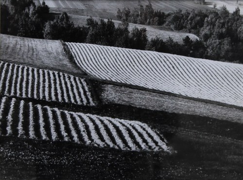 Zbocze Klonówki, ed. 3/15, z cyklu Portret Ziemi Kieleckiej, 1972, Paweł Pierściński