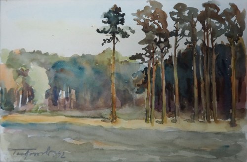 Las sosnowy, 1942 r., Tadeusz Tarkowski