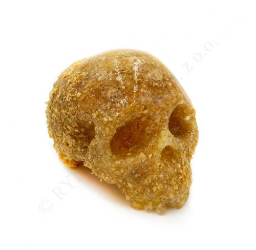 Wooden skull, Agnieszka Rudnicka