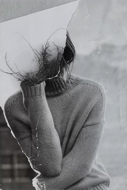 Bez tytułu, 2019, Jolanta Więcław