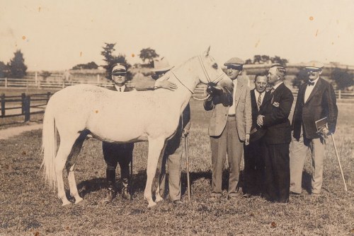 Gumniska, 1931, Książę Roman Sanguszko I Ogier Achmet