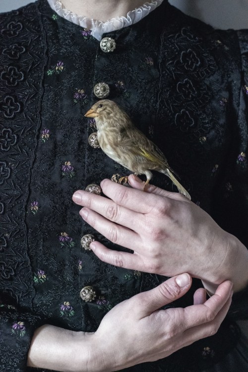 The Cure for Soul, 2022, Olga Szewczuk