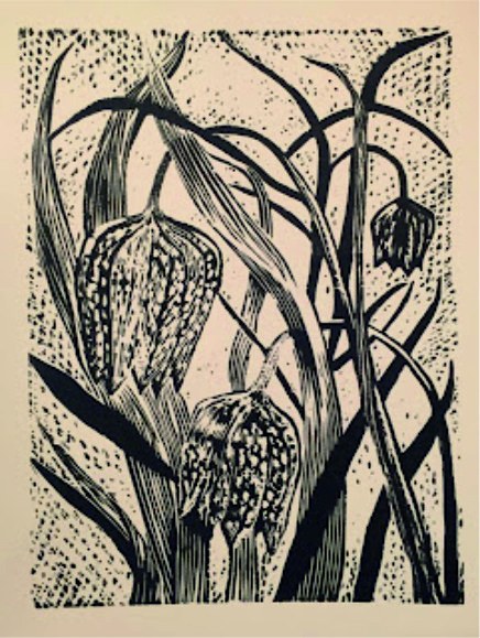 „Szachowniczka kostkowata”, 2017, Marta Bożyk