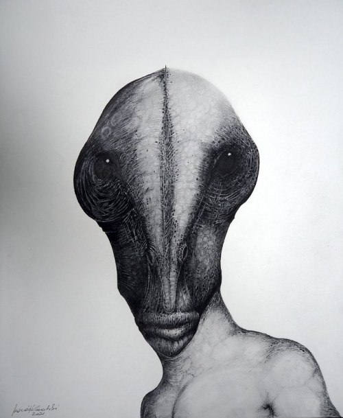 Reptilian, 2020 r., Maciej Kowalski