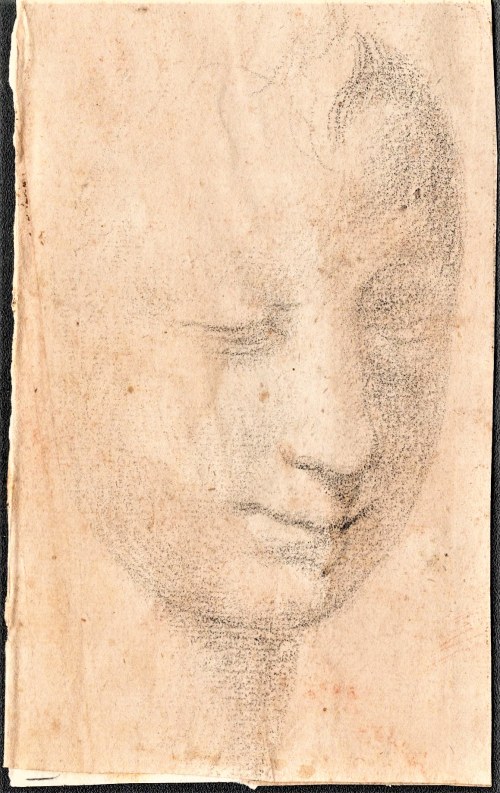 16th / 17th CENTURY, Face of a Lady, Tuscan School