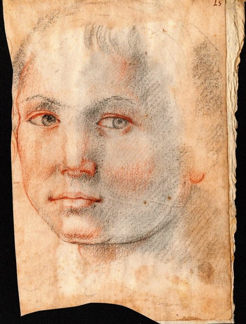 17th CENTURY, Face of a child, Tuscan School