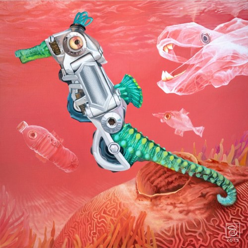 Coral, Aga Siwczyk