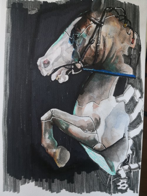 CABALLO, Leonardo Mendoza