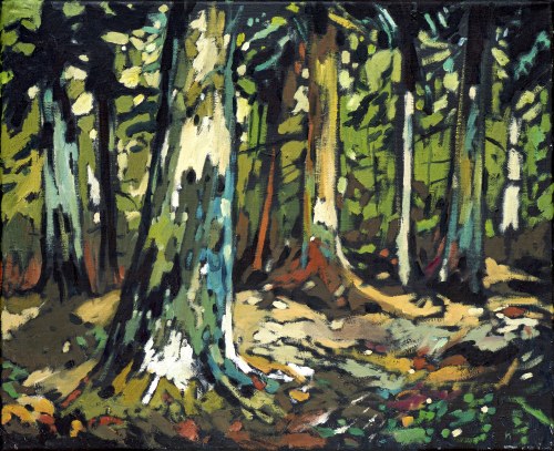Sosny, 2010, Marcel Zwierzchowski