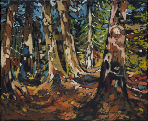 Stare drzewa, 2010, Marcel Zwierzchowski