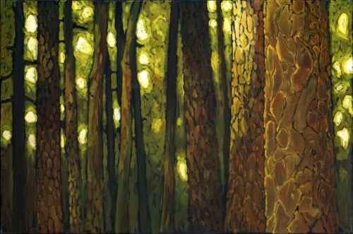 Sosny, 2008, Marcel Zwierzchowski