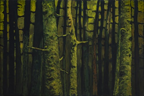 Jodły, 2008, Marcel Zwierzchowski