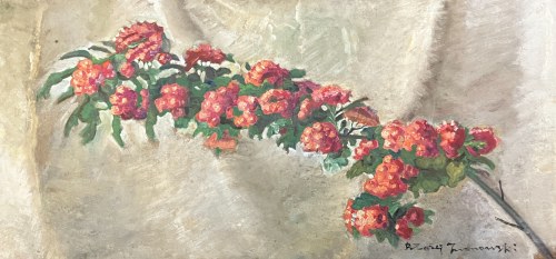 Gałąź głogu, Błażej Iwanowski