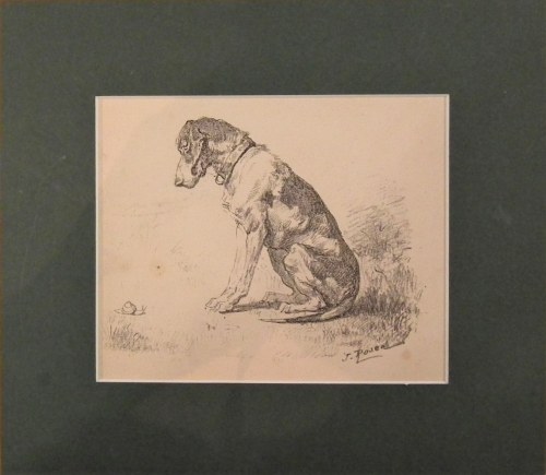 Psiak,1881, Jan Rosen