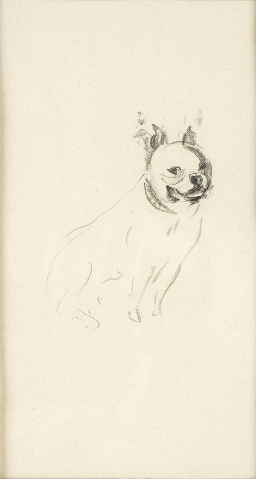 1934): Buldog francuski, Marilù Eustachio