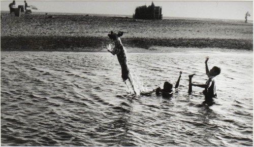 2012 r., Luciana Ghisi