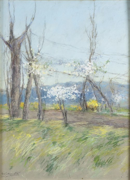 1895 - Rzym, 1960), Pejzaż z kwitnącymi drzewami, Antonio Cannata