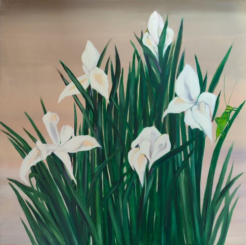 "Białe irysy i pasikonik", Barbara Młynik-Szilke