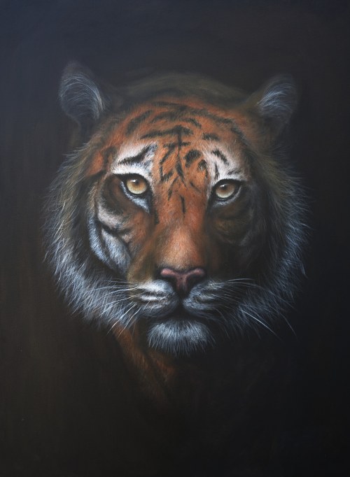 Tiger, 2022, Adam Herb