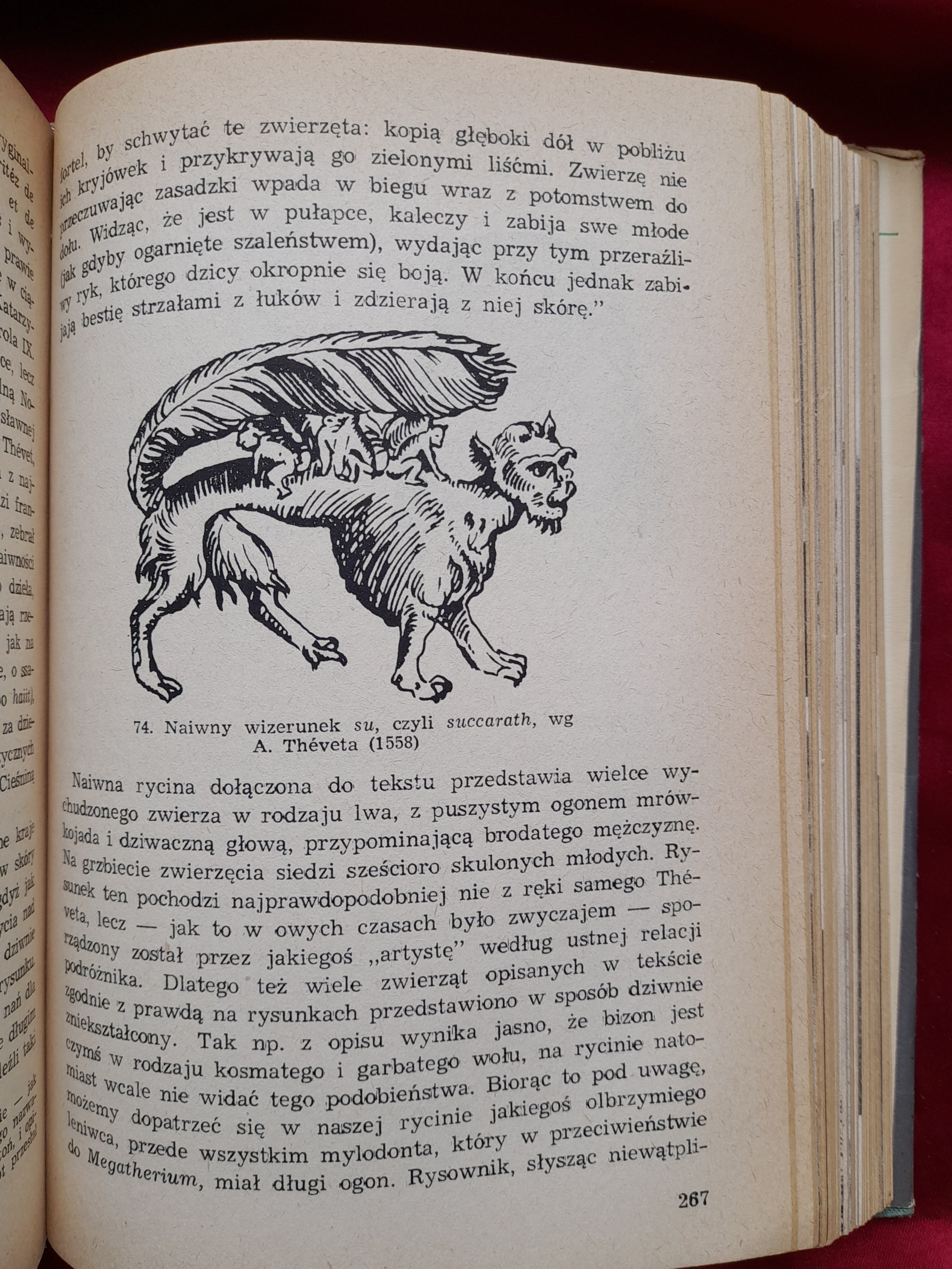 HEUVELMANS B. - On the track of unknown animals (cryptozoology