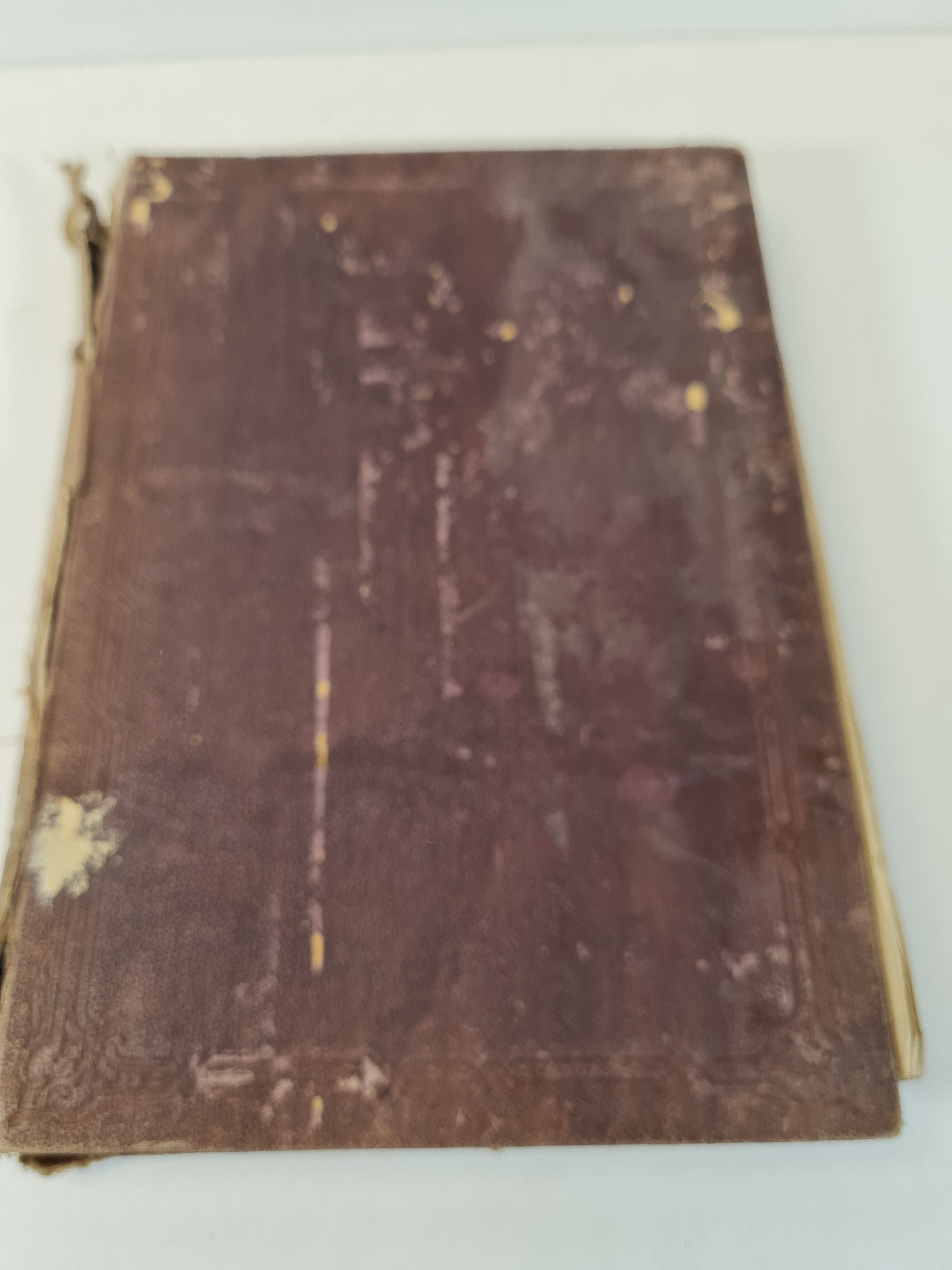 ENCYKLOPEDYJA POWSZECHNA Tom XII 1876 Aukcja