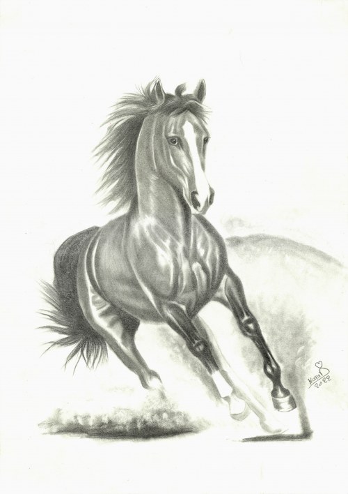 Koń/ Horse, Karrar Español