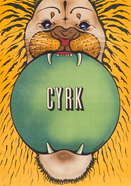 1980, Maciej Szemelowski