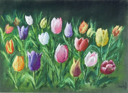 Tulipany w Wilanowie, Tomasz Motyl