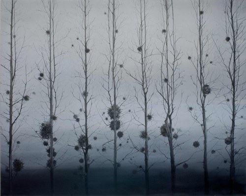 Jemioły, 2008, Natalia Szymonik