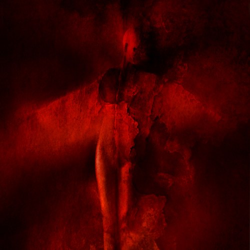Red Angel, Marcin Sacha