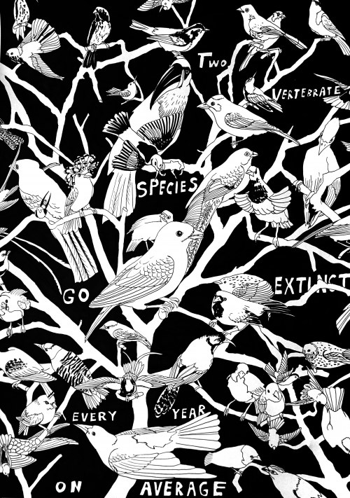 Extinction, Mariusz Tarkawian