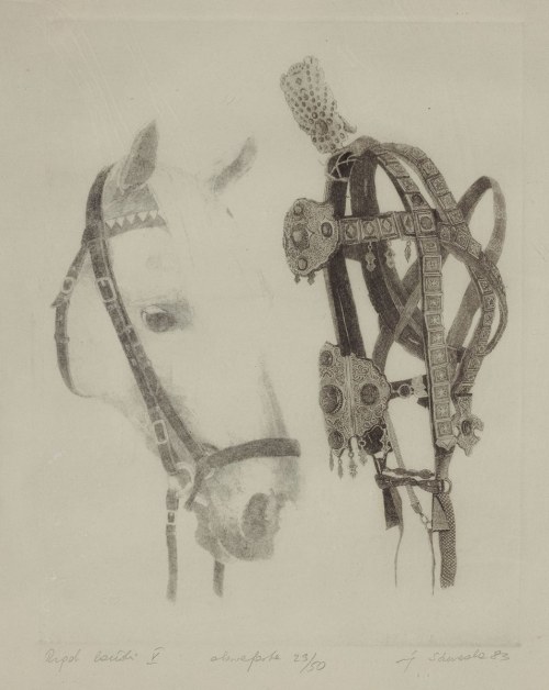 RZĄD KOŃSKI V, 1983, Sławomir Szereda