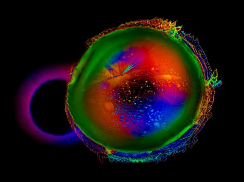 The eye of Aquarius, Małgorzata Lisowska