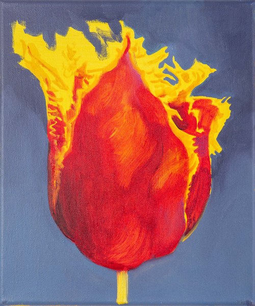 Bright Parrot; 2021, Grażyna Smalej