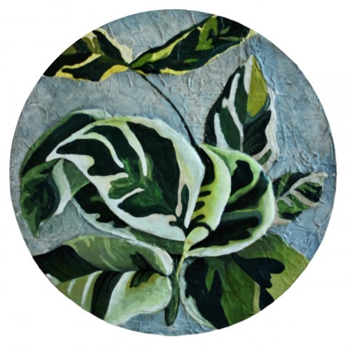 Fikus, 2019, Yuliia Kovalova