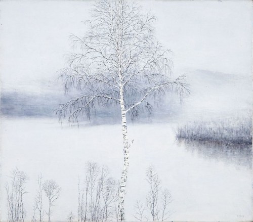 Brzoza, 2014, Rafał Borcz