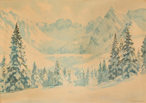 "Hala Gąsienicowa w zimie", Stanisław Dziemański