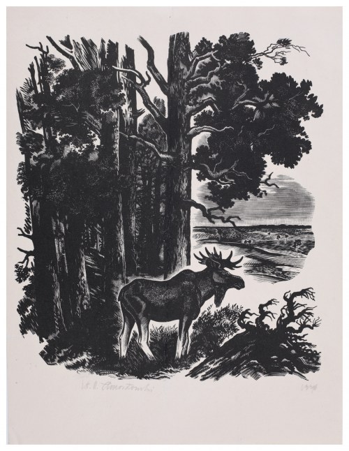 Łoś, 1936, Stanisław Ostoja-Chrostowski