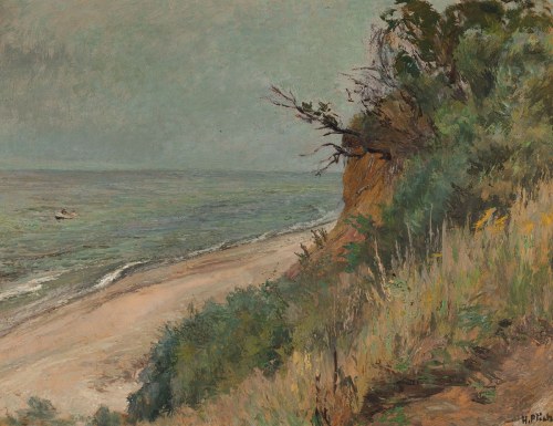 WIDOK Z KLIFU NAD BAŁTYKIEM, Henryk Plich