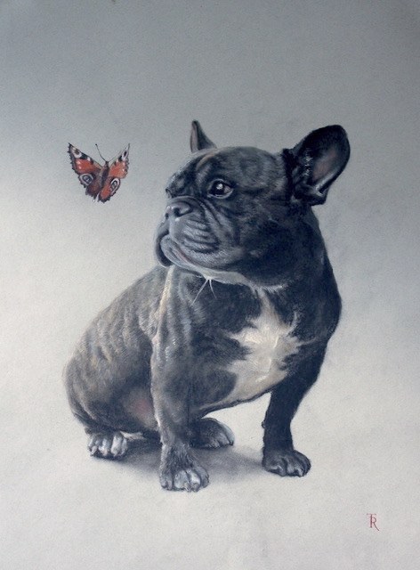 Arnold & Butterfly, Tomasz Rut