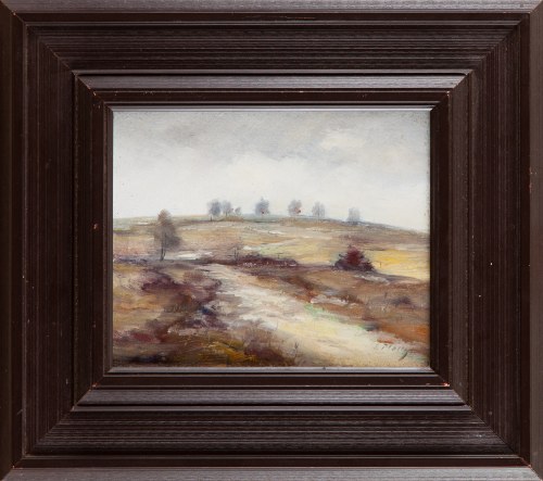 Pejzaż, 1992, Vladimir Plachy