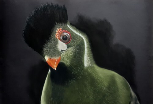 Widzę cię, 2023, Joanna Ambrozik