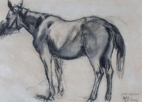 STUDIUM KONIA, 1937, Józef Czajkowski
