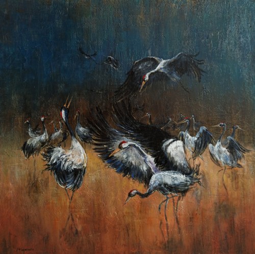 Sejmik żurawi, Artur Hajnowski