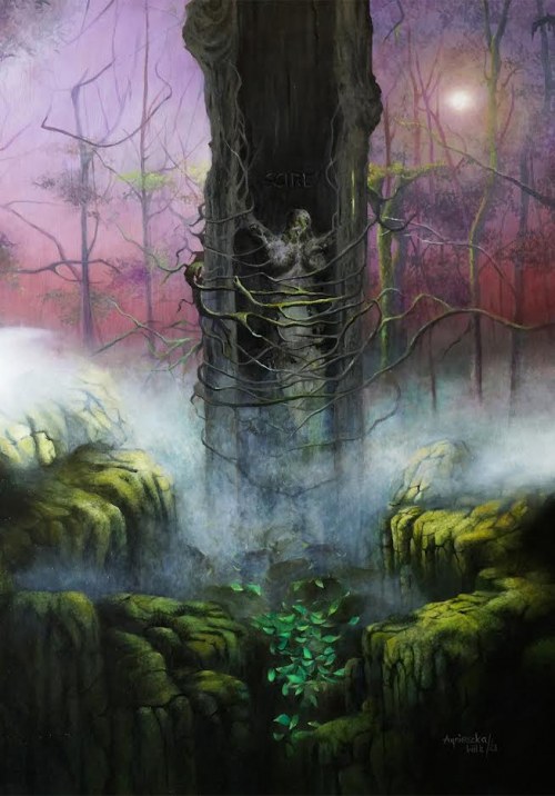 Scire, 2023, Agnieszka Wilk