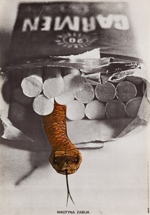 Nikotyna zabija, 1981, Wojciech Naczas