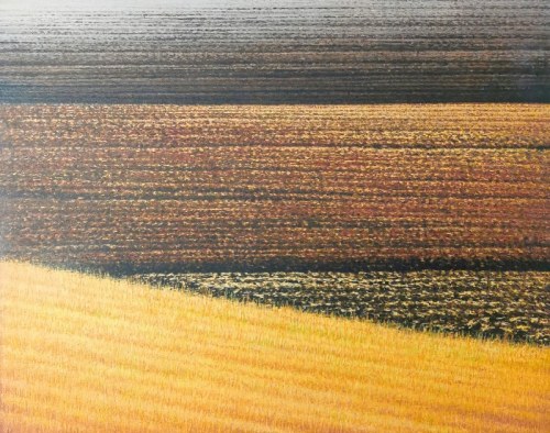 Ziemia, 2014, Leszek Misiak